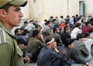دستگیری ۵ هزار اتباع بیگانه غیرمجاز در استان البرز