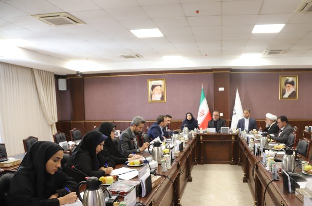 اولین جلسه شورای معاونین فرهنگی، اجتماعی و گردشگری مناطق آزاد برگزار شد