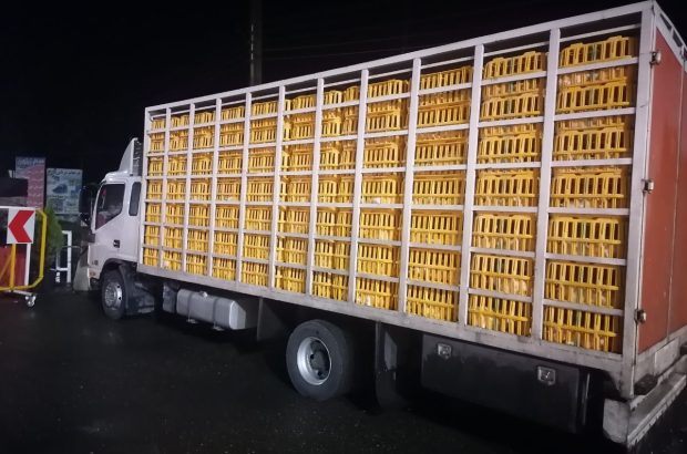 ۱۷۲۰ مرغ زنده قاچاق کشف شد